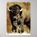 Buscar buffalo arte Animal