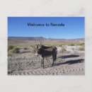 Buscar burro salvaje Nevada