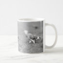 Buscar ardilla negra tazas Café