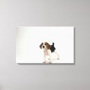 Buscar beagle lienzos Naturaleza