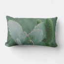 Buscar plantas de desierto cojines Floral