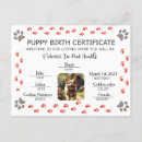 Buscar huella postales Para mascotas