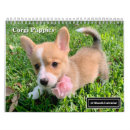 Buscar corgi calendarios Adorable