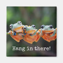 Buscar ranas imanes Lindo