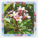 Buscar el árbol floreciente pegatinas Para ella