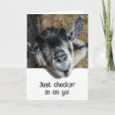 Buscar miranda tarjetas Para todos