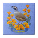 Buscar cueva azulejos Flor silvestre
