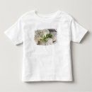 Buscar provenza camisetas Fuente