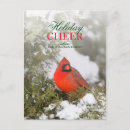 Buscar cardinalidae tarjetas Cardenal