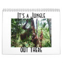 Buscar orangután fotografía Indonesia
