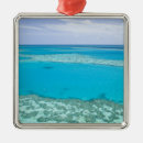 Buscar oceania adornos Océano