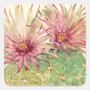 Buscar cactus pegatinas Floral