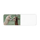 Buscar lanas postales Alpaca