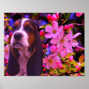 Buscar perritos posters Para ella