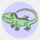 Buscar iguana pegatinas Divertido