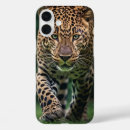 Buscar safari de selva fotografía General y unisex