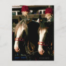 Buscar patos postales Europa