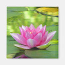 Buscar waterlily imanes Waterlilies