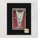 Buscar estupidez postales Puedo tener cheezburger