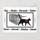 Buscar adopte postales Gatito