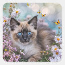 Buscar gato y mariposa pegatinas Primavera