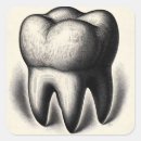 Buscar molar postales 10 º dentadura