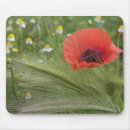 Buscar flor roja alfombrillas de raton Naturaleza