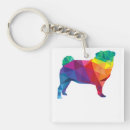 Buscar bandera gay llaveros Pansexual
