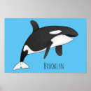 Buscar ballenas la orca posters niños y bebes Ballena asesina