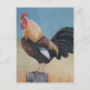 Buscar gallos postales Granja