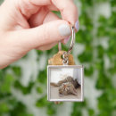 Buscar pelo corto llaveros Gatito de tabby