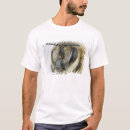 Buscar invertebrados ropa Animales