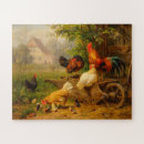 Buscar gallos puzzles Corral
