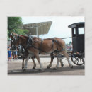 Buscar autobús escolar postales 5 º camioneta