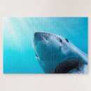 Buscar gran tiburón blanco puzzles Submarino