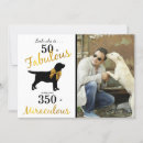 Buscar perro labrador invitaciones General y unisex
