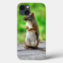 Buscar ardilla iphone fundas Animales lindos