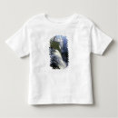 Buscar iguazú camisetas Arcoíris