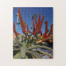 Buscar canarios puzzles Tenerife