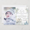 Buscar pingüino fotografía Cualquier niño