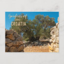 Buscar aceitunas postales Verano