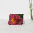 Buscar lilly tarjetas Flor