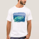 Buscar queensland Cairns