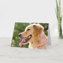 Buscar lengua tarjetas Perro