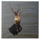 Buscar grueso azulejos Pájaro