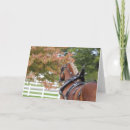 Buscar caballos de tiro belga 6 º caballito