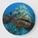 Buscar cuba arte Jardines de la reina