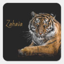 Buscar tigre dorado pegatinas Oro