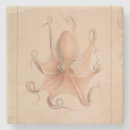 Buscar octopus posavasos Costero