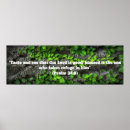 Buscar consulte posters Para todos